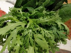菠菜茼蒿双拼-绿达涮府(重庆路店)