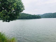 -南京市无想山景区