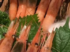 -福樱兰海鲜放题铁板烧(加州店)