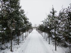 -洨河生态公园