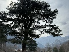 -秦岭终南山世界地质公园翠华山景区