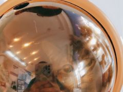 -爱诺动物医院(崂山店)