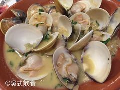 -toca小窝