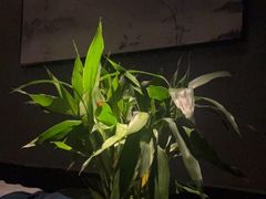 -玥汐·3D影院式足道SPA(万泰城店)