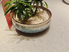 -绿波廊(豫园店)