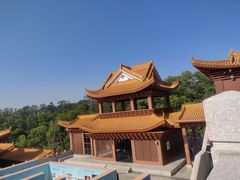 -深圳仙湖植物园