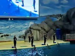 -福州罗源湾海洋世界旅游区