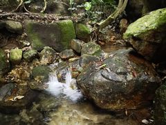 -雁南飞茶田景区