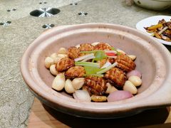 -粤珍轩·家宴·广式茶点(新城广场店)