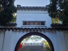 -惠山国家森林公园