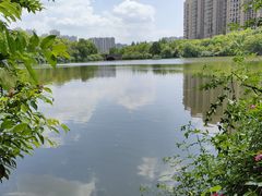 -成都南湖公园