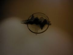 -Dragonfly悠庭·按摩Spa(浦东嘉里城店)