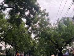 -邓邓胖姐拌面(濉溪路店)