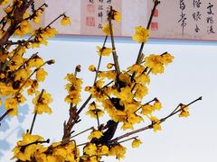 -颐和园
