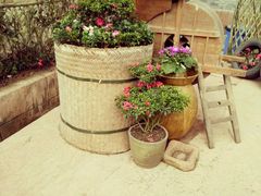 -楠柏弯休闲山庄(梨花溪店)