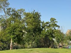 -两河城市森林公园