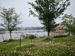 -上海长兴岛郊野公园