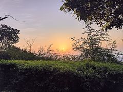 -铁山坪森林公园