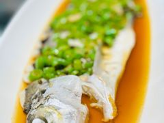 -沪碟·精菜坊(闵行店)