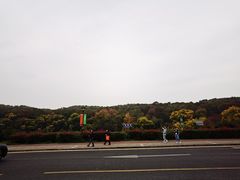 游乐设施-中山陵景区