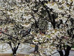 -同济大学(嘉定校区)