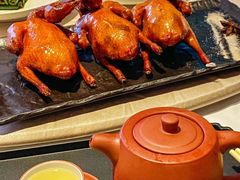 -侨美食家·41年地道粤菜(珠江新城店)