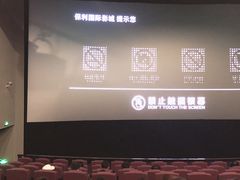 -保利国际影城(保利文化广场店)