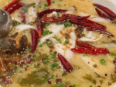-江渔儿酸菜鱼(曜一城店)