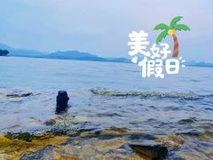 -美顺香食府鱼头老店(雪野湖店)