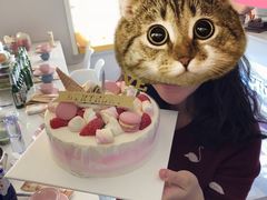 -半勺舒舒生日蛋糕店