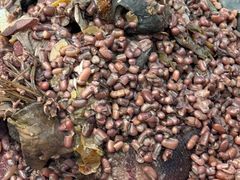 -农汤老店(顺联公园里店)