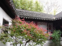 -秋霞圃