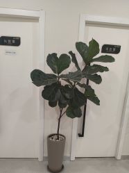 -海涛医疗美容·面部抗衰·注射美鼻