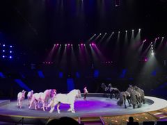 -珠海横琴长隆《卡卡虎奇遇记》