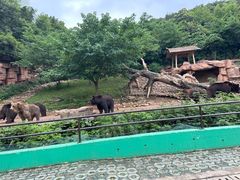 -太湖龙之梦