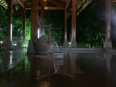 -天目湖御水温泉·度假酒店