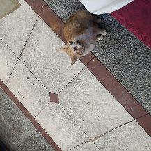 -拿福食府(广大路店)