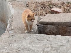 -贮水山儿童公园