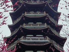 -洋湖国家湿地公园