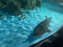 -常州海昌海洋探索馆