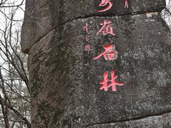 -汤旺河林海奇石景区