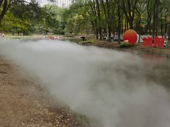 -长白岛森林公园