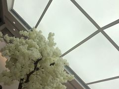 -艾薯夫妇Aysh(福田星河COCOPark店)