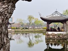 -无锡蠡湖国家湿地公园-蠡园