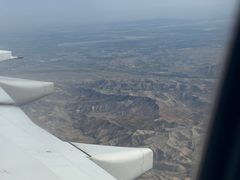 -特丰抓饭(莱茵庄园店)