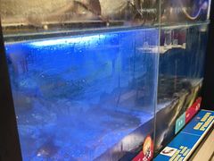 -鱼酷活鱼烤鱼(南京水游城店)