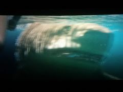 -星河国际影城(新会店)