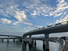 -演武大桥观景平台