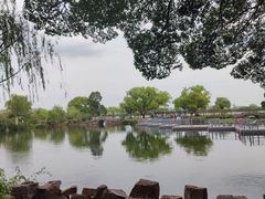 -无锡蠡湖国家湿地公园-蠡园