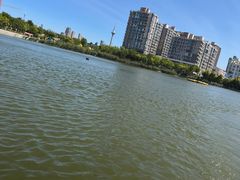 -南翠屏公园